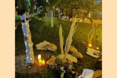 IMG_20220716_133637_277